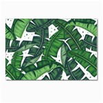 Banana Leaf Postcard 4  x 6 