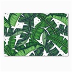 Banana Leaf Postcard 5  x 7 