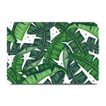 Banana Leaf Plate Mat