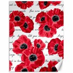 love poppies Canvas 18  x 24 