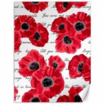 love poppies Canvas 36  x 48 