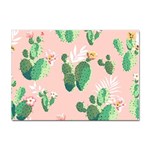 Pink Cactus flower Sticker A4 (10 pack)