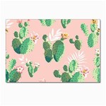 Pink Cactus flower Postcard 4  x 6 