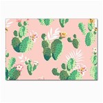 Pink Cactus flower Postcard 5  x 7 