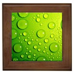 Green Water Drops Framed Tile