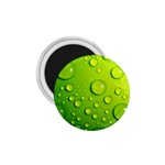 Green Water Drops 1.75  Magnet