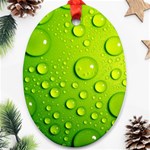 Green Water Drops Ornament (Oval)