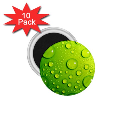 Green Water Drops 1.75  Magnet (10 pack)  from ArtsNow.com Front