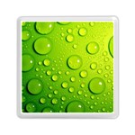 Green Water Drops Memory Card Reader (Square)