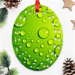 Green Water Drops Oval Filigree Ornament (Two Sides)