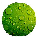 Green Water Drops Large 18  Premium Round Cushion 