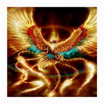 Fire Eagle Art Medium Glasses Cloth