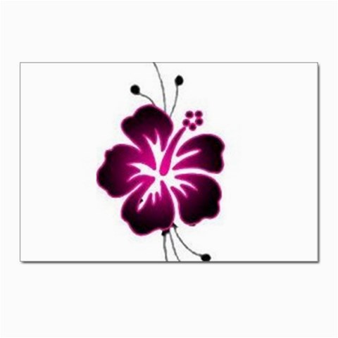 Pink Hawaiian Flower Postcard 4 x 6  (Pkg of 10) from ArtsNow.com Front