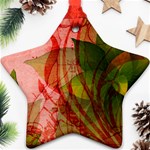 Design Art (design 14) Ornament (Star)