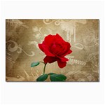 Red Rose Art Postcard 4  x 6 