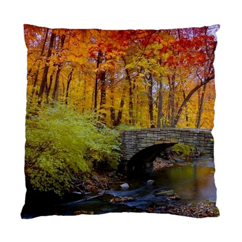 Stone Country Bridge Standard Cushion Case (Two Sides) from ArtsNow.com Back