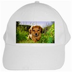 Puppy In Grass White Cap