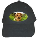 Puppy In Grass Black Cap