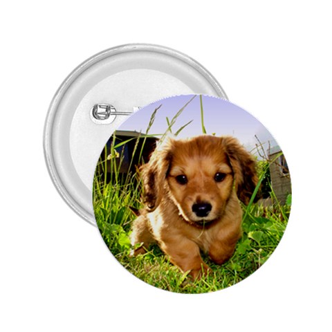 Puppy In Grass 2.25  Button from ArtsNow.com Front