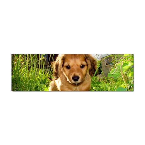 Puppy In Grass Sticker Bumper (100 pack) from ArtsNow.com Front