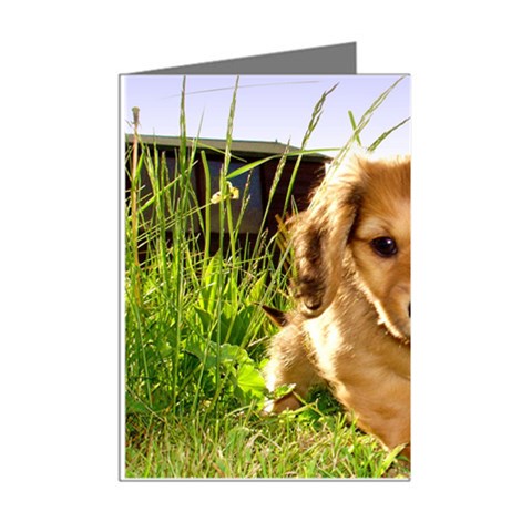 Puppy In Grass Mini Greeting Cards (Pkg of 8) from ArtsNow.com Right