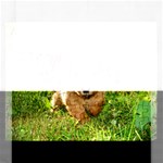 Puppy In Grass Jigsaw Puzzle (Rectangular)