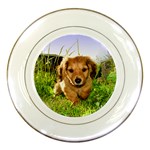 Puppy In Grass Porcelain Plate