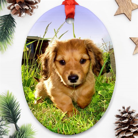 Puppy In Grass Oval Ornament (Two Sides) from ArtsNow.com Back