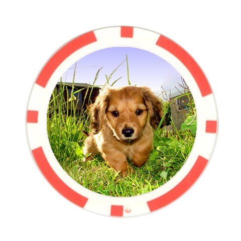 Puppy In Grass Poker Chip Card Guard from ArtsNow.com Front