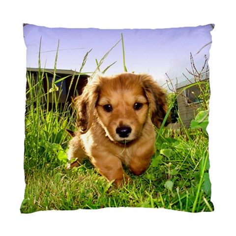 Puppy In Grass Standard Cushion Case (Two Sides) from ArtsNow.com Back