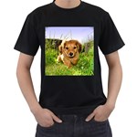 Puppy In Grass Men s T-Shirt (Black)