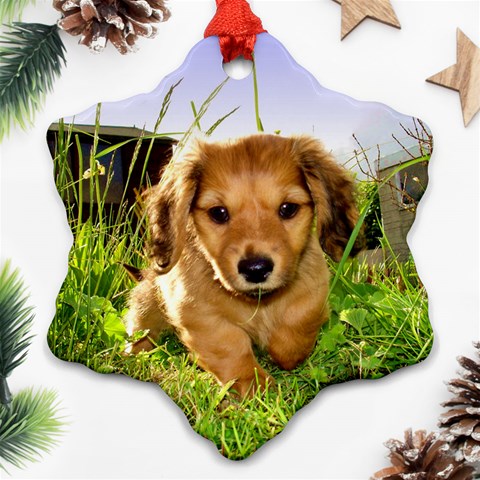 Puppy In Grass Ornament (Snowflake) from ArtsNow.com Front