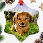 Puppy In Grass Ornament (Snowflake)