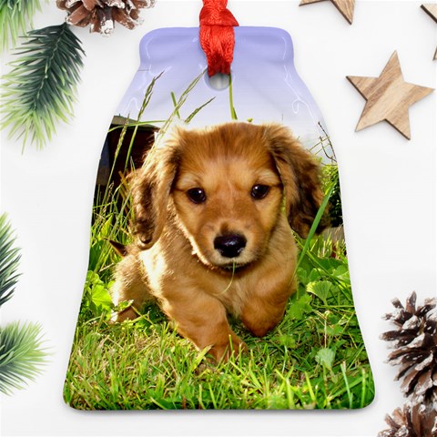 Puppy In Grass Bell Ornament (Two Sides) from ArtsNow.com Front