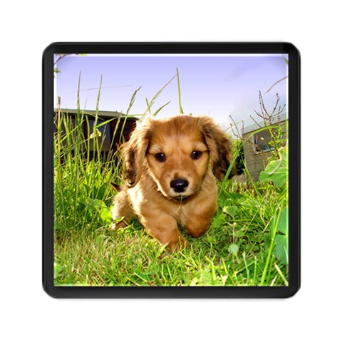 Puppy In Grass Memory Card Reader (Square) from ArtsNow.com Front