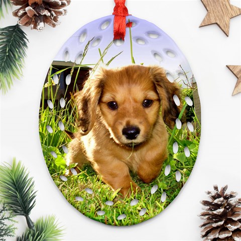 Puppy In Grass Oval Filigree Ornament (Two Sides) from ArtsNow.com Front