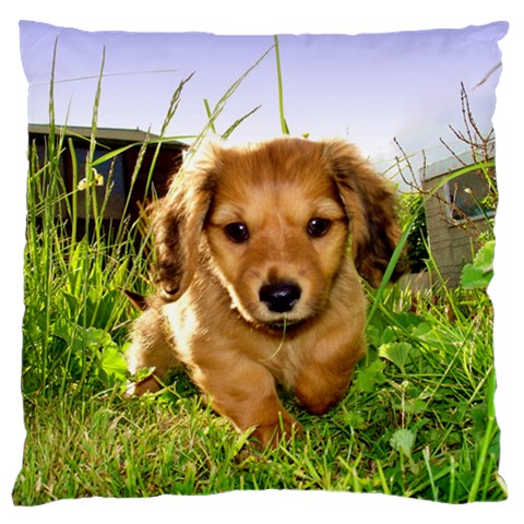 Puppy In Grass Large Cushion Case (Two Sides) from ArtsNow.com Back