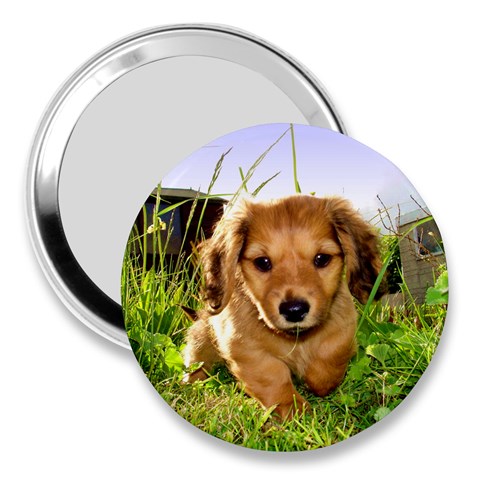 Puppy In Grass 3  Handbag Mirror from ArtsNow.com Front