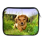 Puppy In Grass Apple iPad Zipper Case