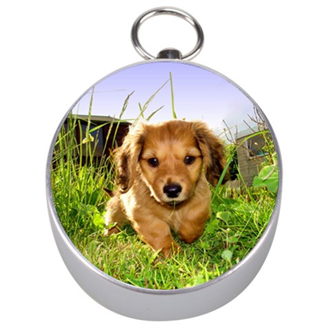 Puppy In Grass Silver Compass from ArtsNow.com Front