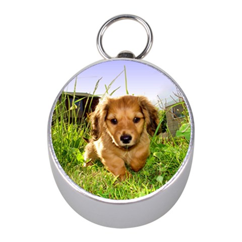 Puppy In Grass Silver Compass (Mini) from ArtsNow.com Front