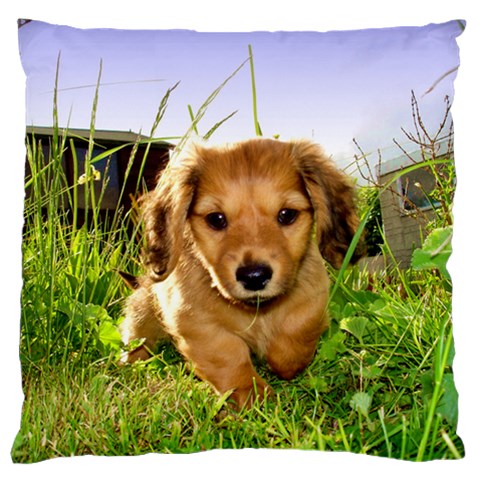 Puppy In Grass Standard Flano Cushion Case (Two Sides) from ArtsNow.com Back