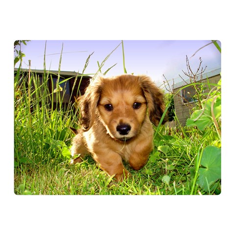 Puppy In Grass Double Sided Flano Blanket (Mini) from ArtsNow.com 35 x27  Blanket Front