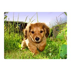 Puppy In Grass Double Sided Flano Blanket (Mini) from ArtsNow.com 35 x27  Blanket Back