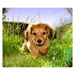 Puppy In Grass Double Sided Flano Blanket (Small)