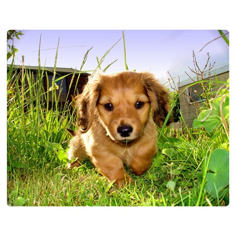 Puppy In Grass Double Sided Flano Blanket (Medium) from ArtsNow.com 60 x50  Blanket Back