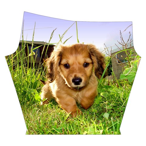 Puppy In Grass Yoga Cropped Leggings from ArtsNow.com Right