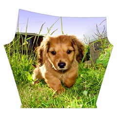 Puppy In Grass Yoga Cropped Leggings from ArtsNow.com Right