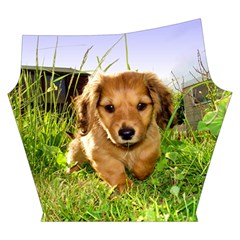 Puppy In Grass Yoga Cropped Leggings from ArtsNow.com Left