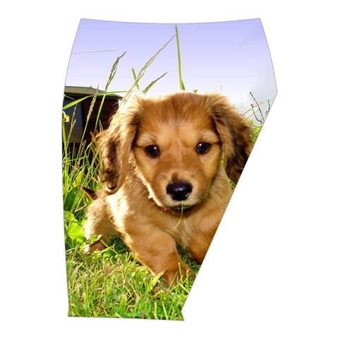 Puppy In Grass Midi Wrap Pencil Skirt from ArtsNow.com  Front Right 